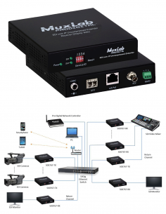 500767-TX-MM