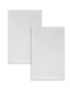 VX8-GRILLE-T