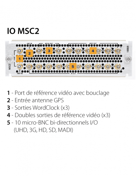 ARKONA | IO MSC2 | Carte Arrière AT300 | 10 mini-BNC bi-directionnels | WordClock | GPS IN