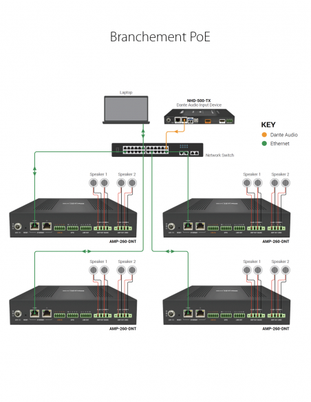 WYRESTORM | AMP-260-DNT | Amplificateur IP numérique | 2x60W ou 4x30W | Dante