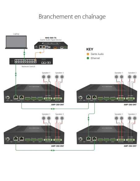 WYRESTORM | AMP-260-DNT | Amplificateur IP numérique | 2x60W ou 4x30W | Dante