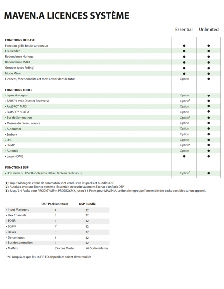 DIRECTOUT  TECHNOLOGIES | MAVEN.A (ESSENTIAL) | Processeur Audio Modulaire Compact | Licence ESSENTIAL