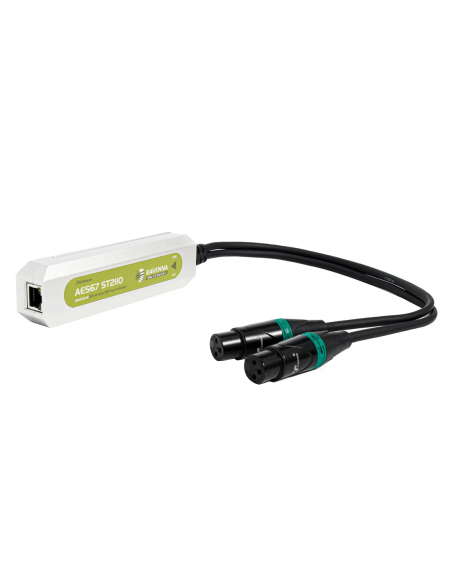 DIGISYNTHETIC&nbsp;|&nbsp;DMA02-IN&nbsp;|&nbsp;Convertisseur AES67 avec Entrées Analogiques 2 Canaux