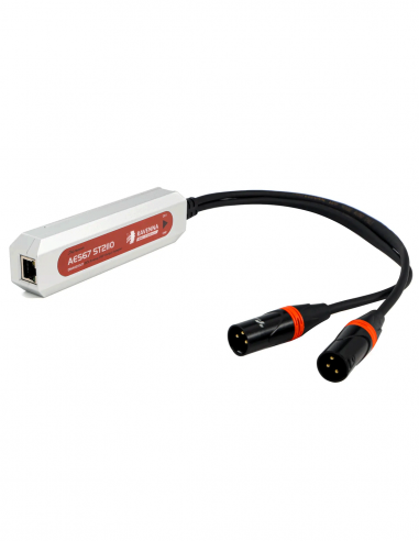 DIGISYNTHETIC&nbsp;|&nbsp;DMA02-OUT&nbsp;|&nbsp;Convertisseur AES67 avec Sorties Analogiques 2 Canaux