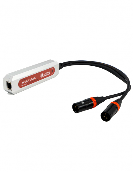 DIGISYNTHETIC&nbsp;|&nbsp;DMA02-OUT&nbsp;|&nbsp;Convertisseur AES67 avec Sorties Analogiques 2 Canaux