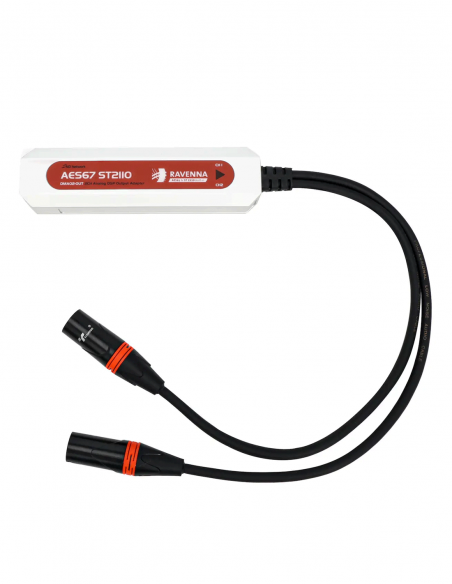 DIGISYNTHETIC&nbsp;|&nbsp;DMA02-OUT&nbsp;|&nbsp;Convertisseur AES67 avec Sorties Analogiques 2 Canaux