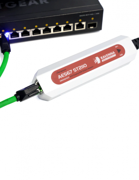 DIGISYNTHETIC&nbsp;|&nbsp;DMA02-OUT&nbsp;|&nbsp;Convertisseur AES67 avec Sorties Analogiques 2 Canaux