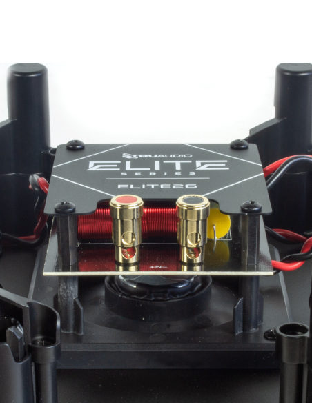 TRUAUDIO&nbsp;|&nbsp;ELITE46&nbsp;|&nbsp;Enceinte LCR Murale | 3 voies | 250W