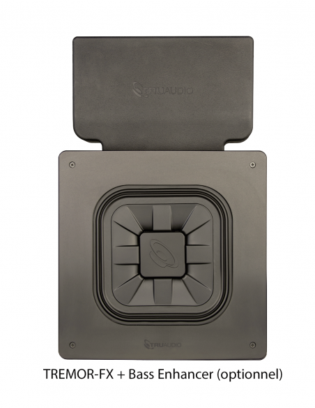 TRUAUDIO&nbsp;|&nbsp;TREMOR-FX&nbsp;|&nbsp;Subwoofer 10'' | 250W