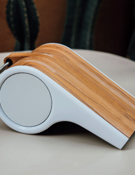 MAGNA Audio&nbsp;|&nbsp;APITO SERIES&nbsp;|&nbsp;Enceinte et Subwoofer Amplifiés Nomades