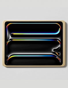 DAME WALL 2.0 PRO13-G