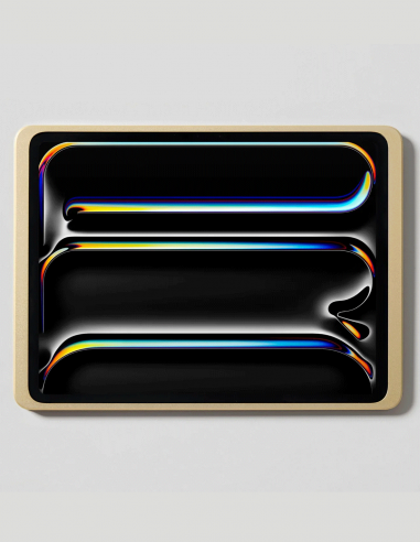 DISPLINE&nbsp;|&nbsp;DAME WALL 2.0 PRO13-G&nbsp;|&nbsp;Station d'Accueil Murale pour iPad PRO 13'' | Gold
