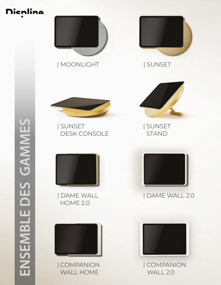 DISPLINE&nbsp;|&nbsp;DAME WALL 2.0 PRO13-R&nbsp;|&nbsp;Station d'Accueil Murale pour iPad PRO 13'' | Rose Gold