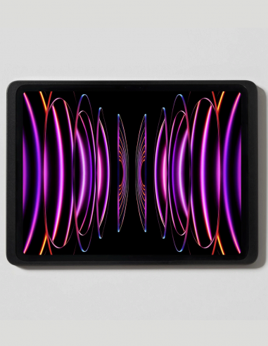 DISPLINE&nbsp;|&nbsp;DAME WALL 2.0 AIR13-B&nbsp;|&nbsp;Station d'Accueil Murale pour iPad AIR 13'' et PRO 12.9'' | Noire