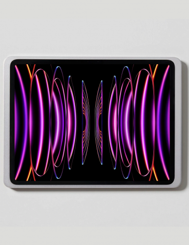 DISPLINE&nbsp;|&nbsp;DAME WALL 2.0 AIR13-S&nbsp;|&nbsp;Station d'Accueil Murale pour iPad AIR 13'' et PRO 12.9'' | Silver