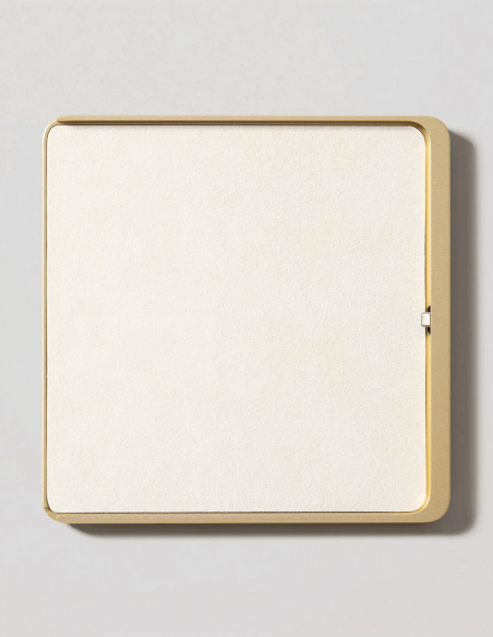 DISPLINE&nbsp;|&nbsp;DAME WALL HOME 2.0 PRO13-G&nbsp;|&nbsp;Station d'Accueil Murale Inamovible pour iPad PRO 13'' | Gold