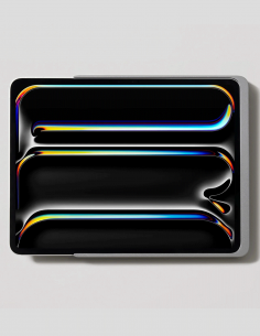DAME WALL HOME 2.0 PRO13-T