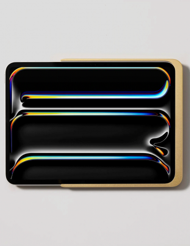 DISPLINE&nbsp;|&nbsp;DAME WALL HOME 2.0 PRO11-G&nbsp;|&nbsp;Station d'Accueil Murale Inamovible pour iPad Pro 11'' | Gold