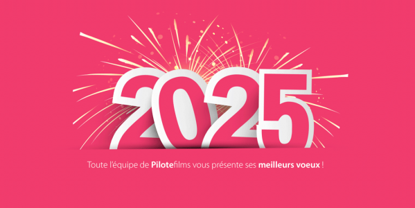 Meilleurs Voeux pour 2025 !